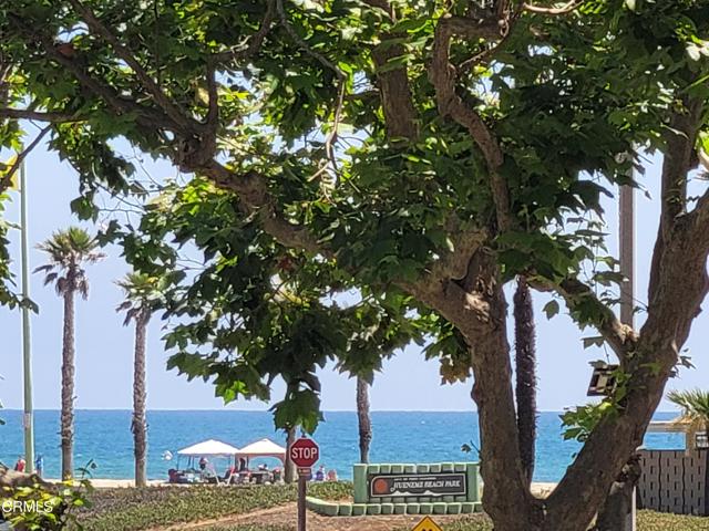 MLS #V1-30733 image #0