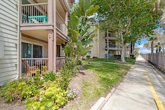 MLS #V1-30773 image #42