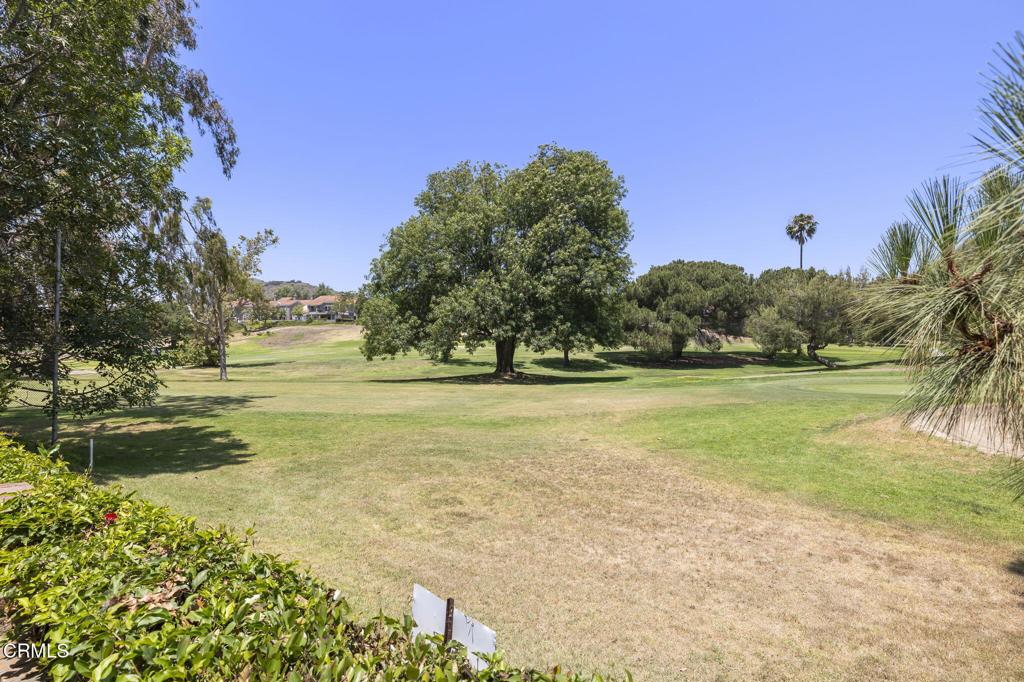 MLS #V1-30891 image #42