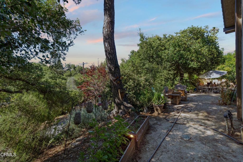 MLS #V1-30982 image #37