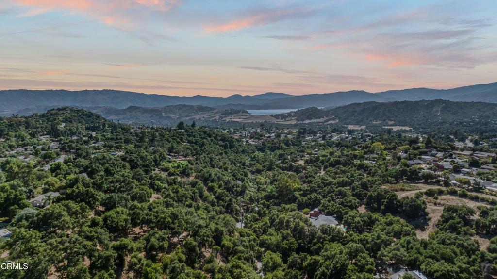 MLS #V1-30982 image #44