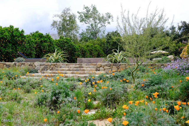 MLS #V1-31051 image #13