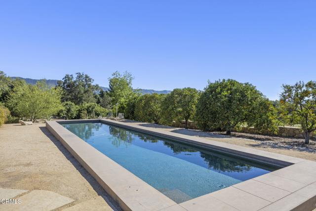 MLS #V1-31051 image #24