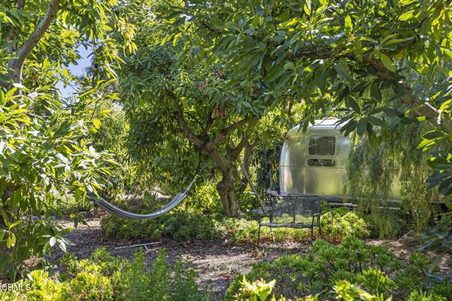 MLS #V1-31051 image #42