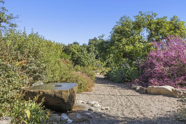 MLS #V1-31051 image #51