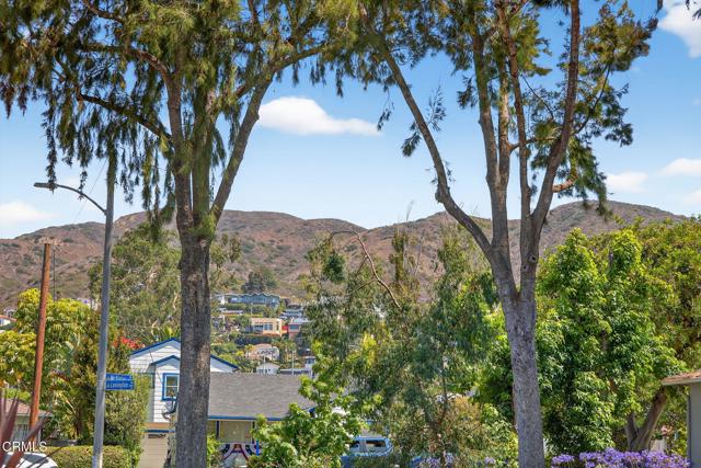 MLS #V1-31136 image #35