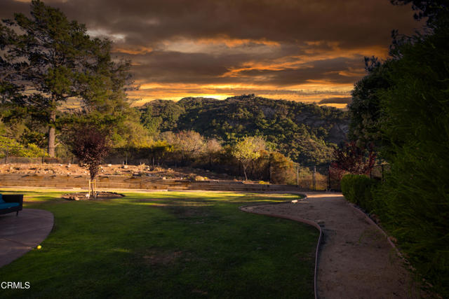 MLS #V1-31184 image #41