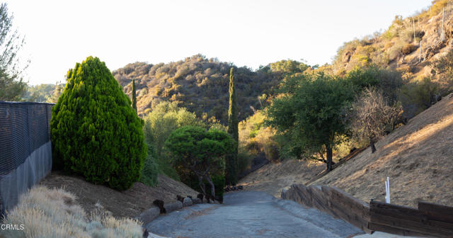 MLS #V1-31184 image #50