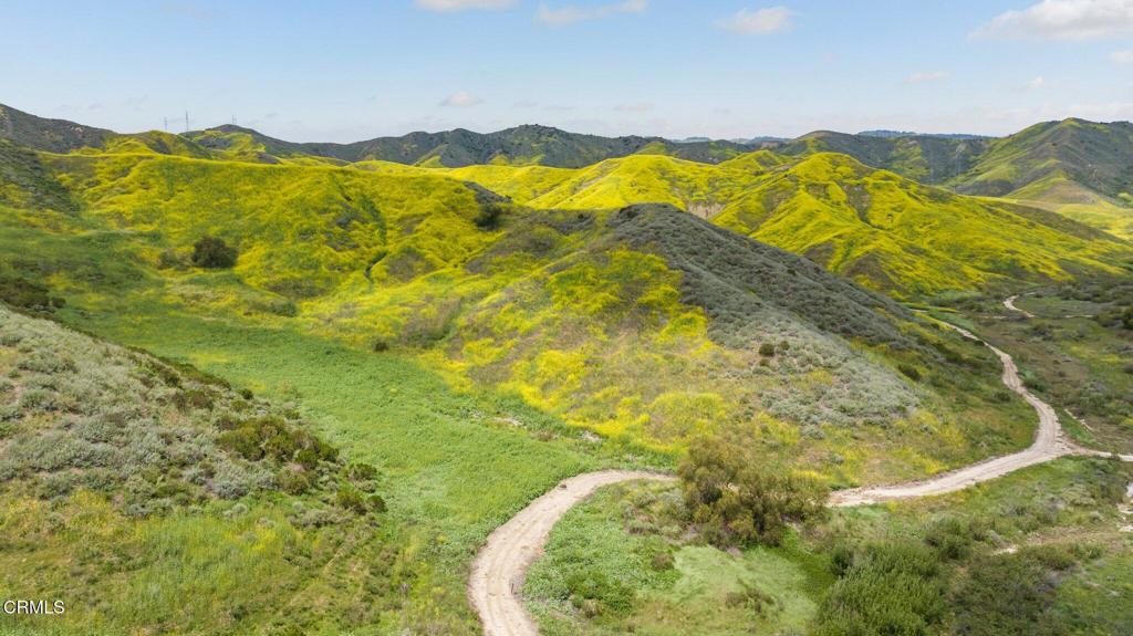 MLS #V1-31218 image #10