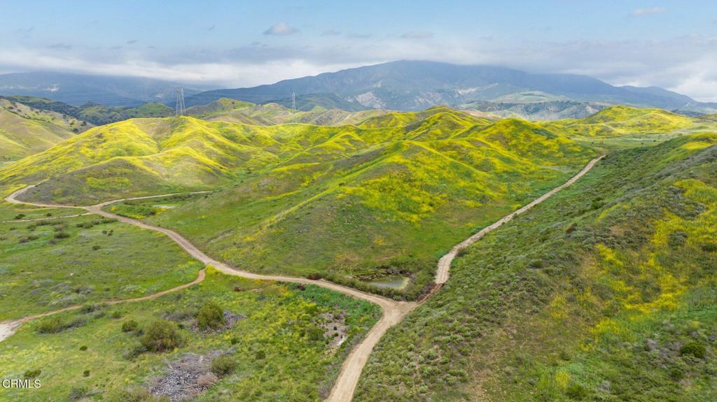 MLS #V1-31218 image #11