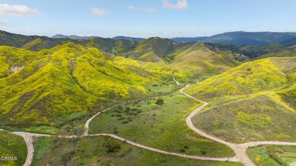 MLS #V1-31218 image #12