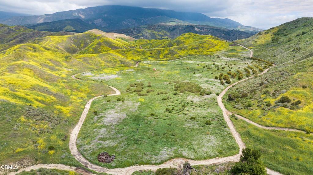 MLS #V1-31218 image #14