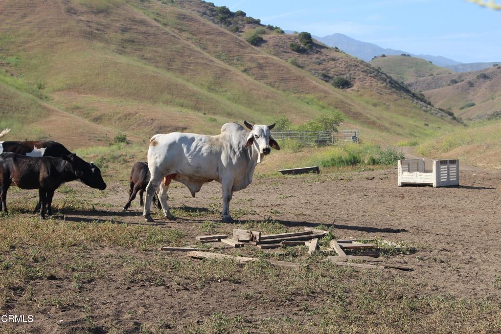 MLS #V1-31218 image #17