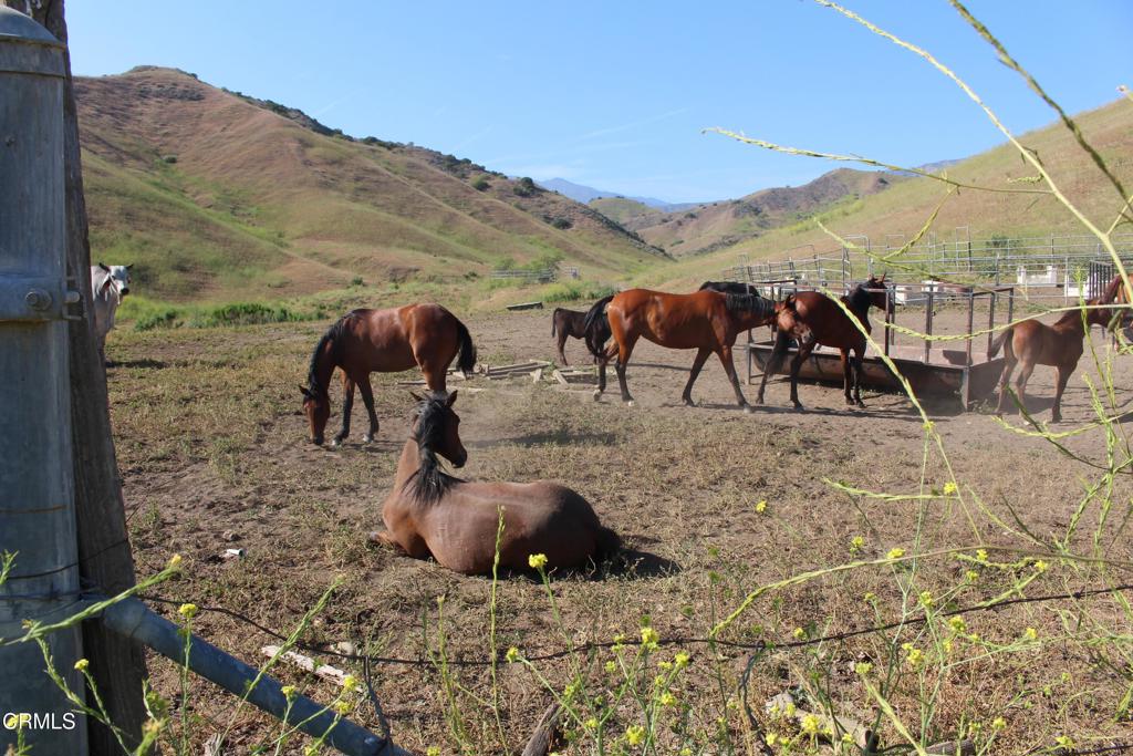 MLS #V1-31218 image #18