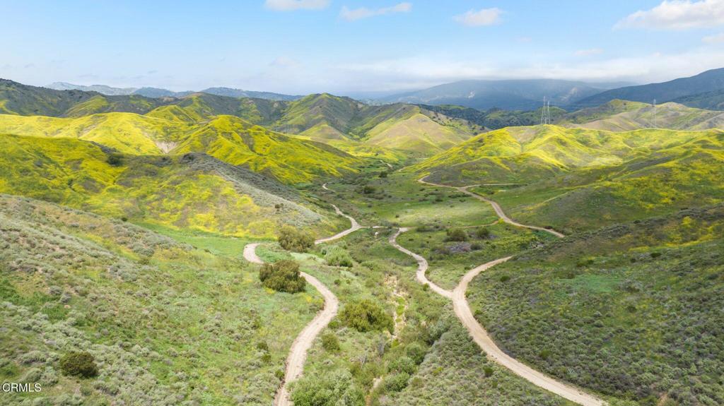 MLS #V1-31218 image #21