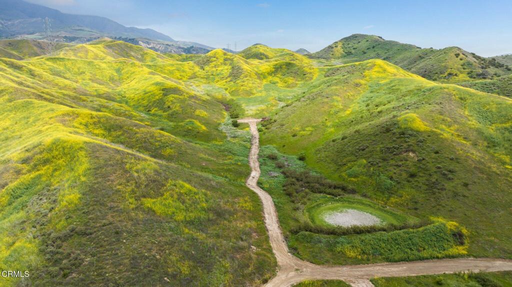 MLS #V1-31218 image #22