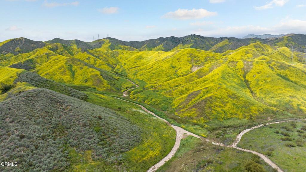 MLS #V1-31218 image #23