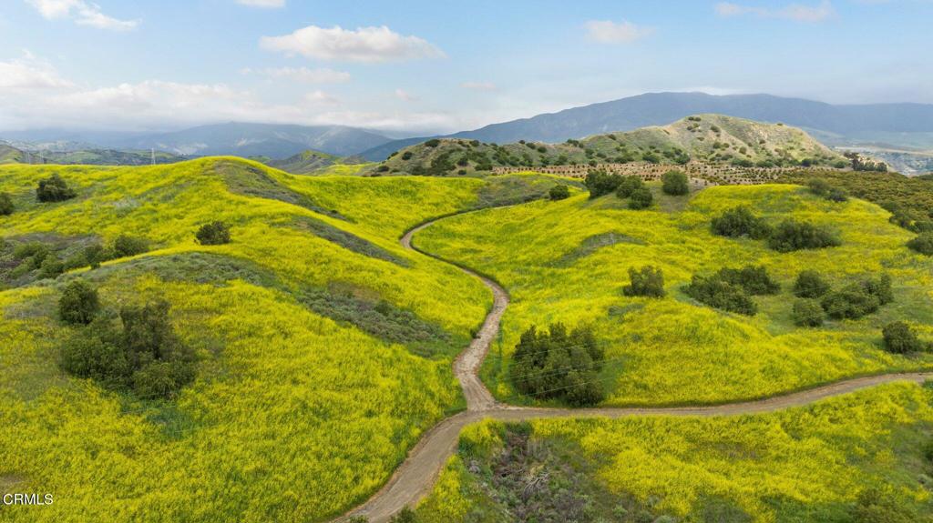 MLS #V1-31218 image #28