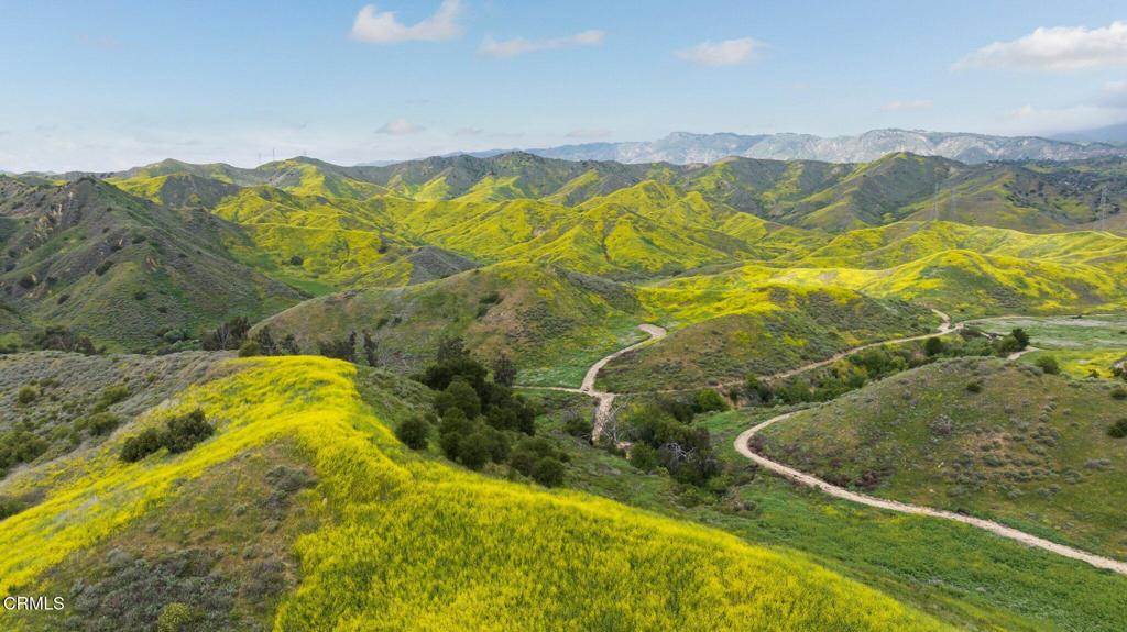 MLS #V1-31218 image #29