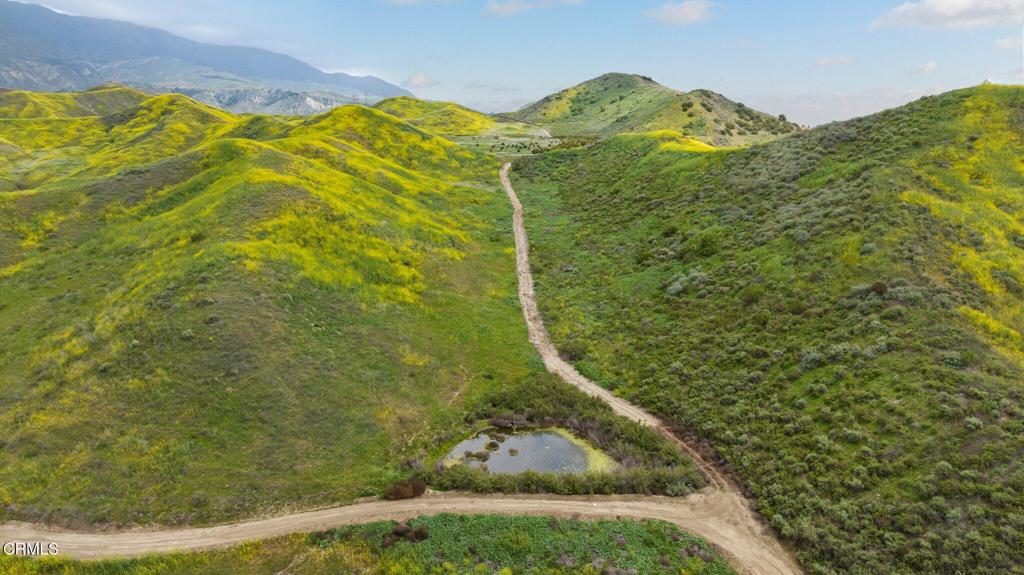 MLS #V1-31218 image #30