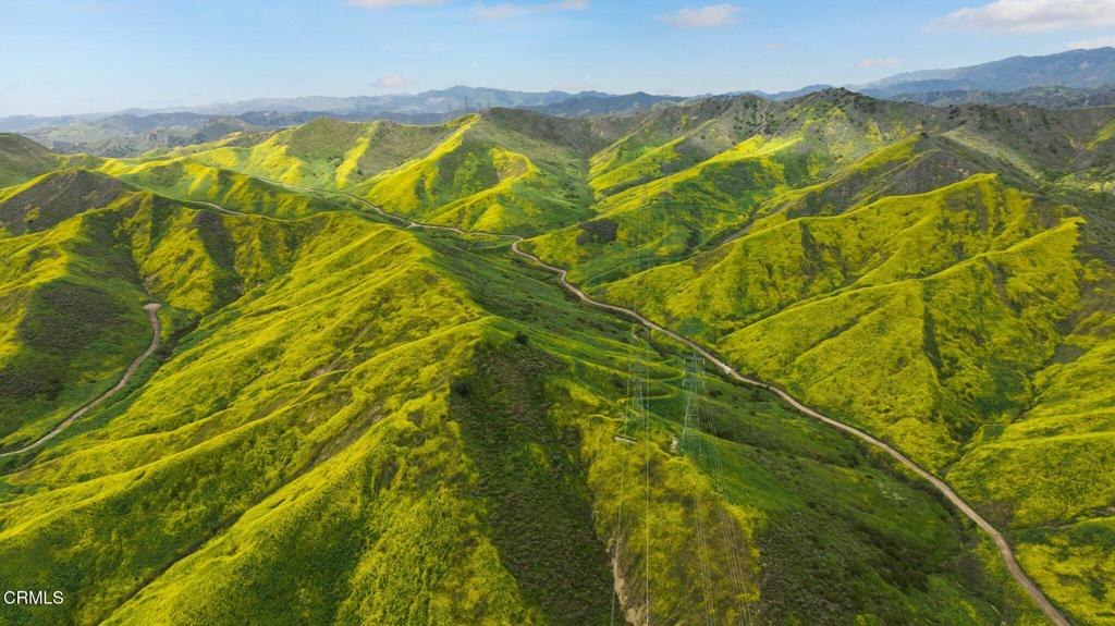 MLS #V1-31218 image #31