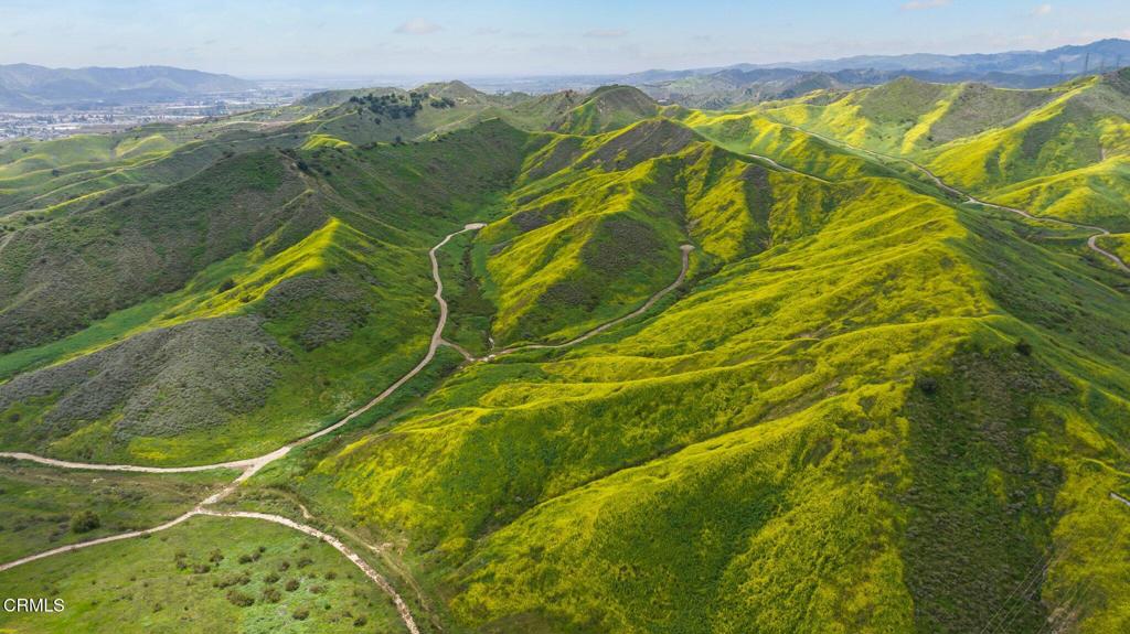 MLS #V1-31218 image #32