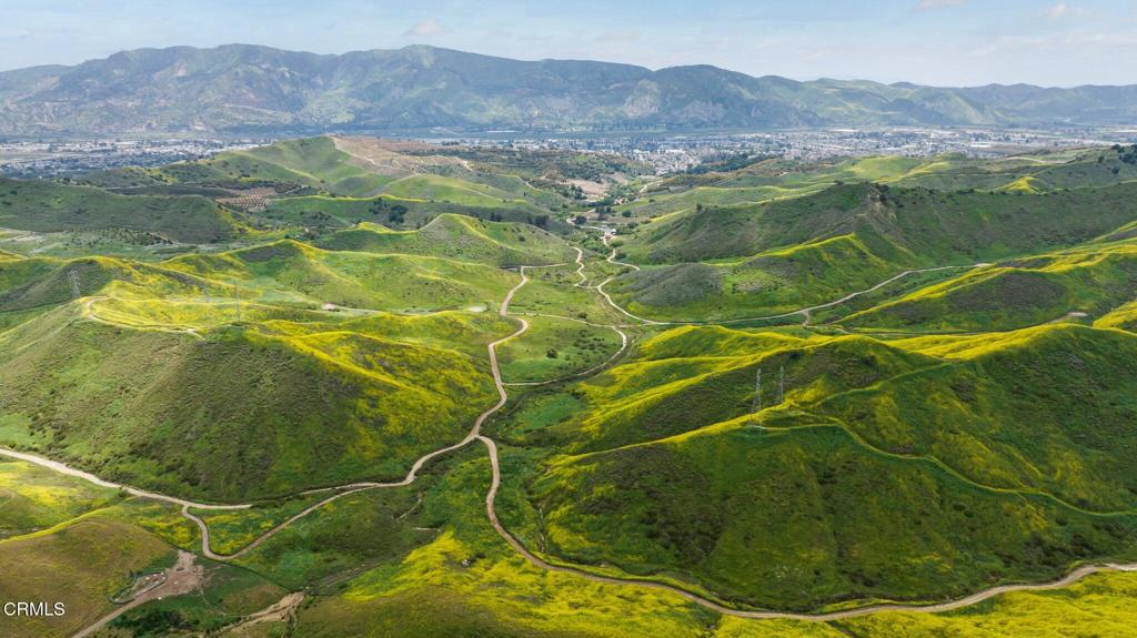 MLS #V1-31218 image #33