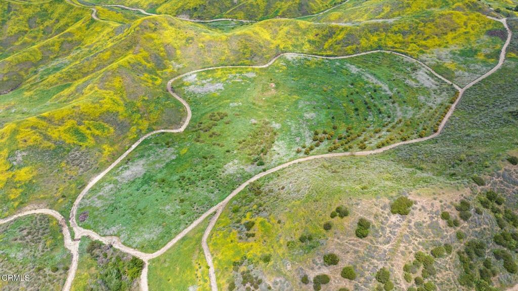 MLS #V1-31218 image #35