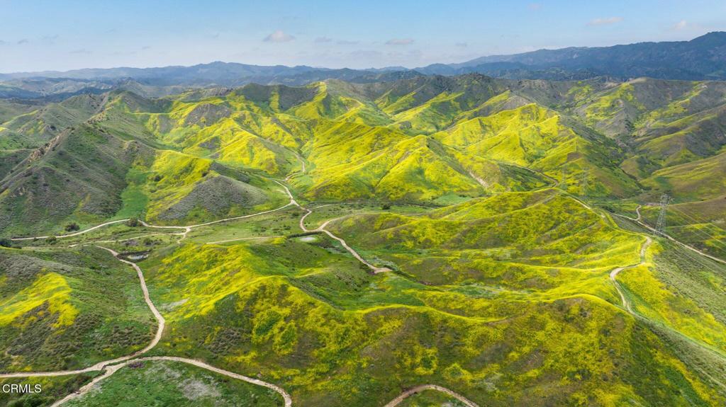 MLS #V1-31218 image #36