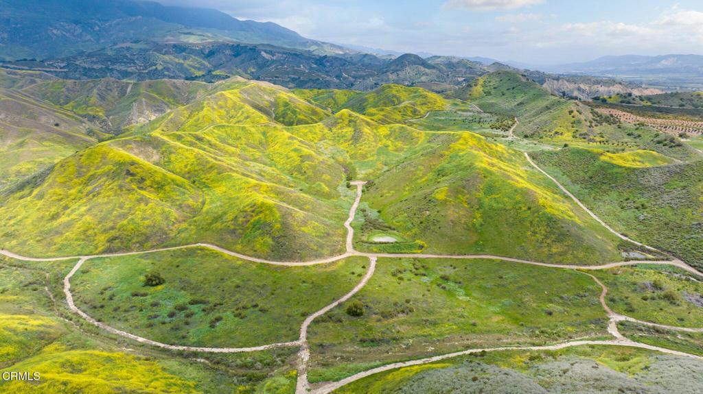 MLS #V1-31218 image #37