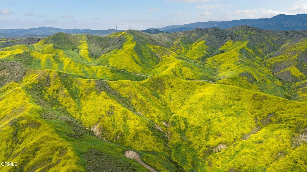 MLS #V1-31218 image #38