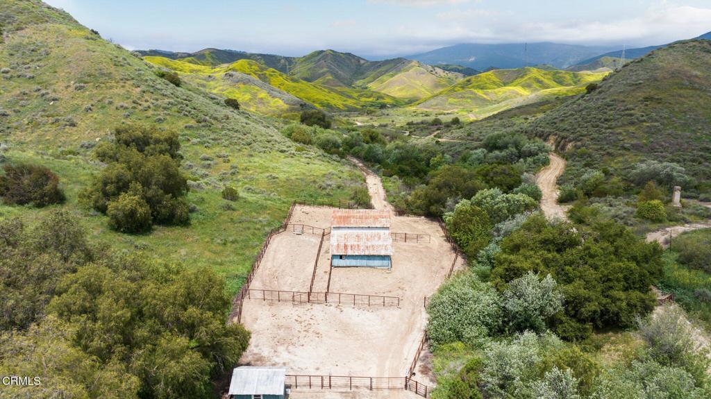 MLS #V1-31218 image #6