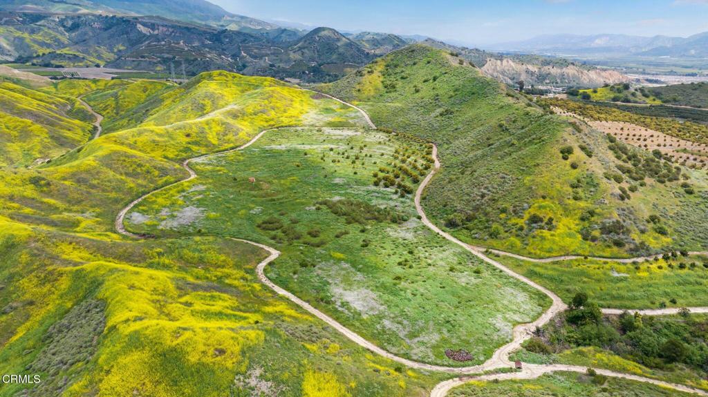 MLS #V1-31218 image #8