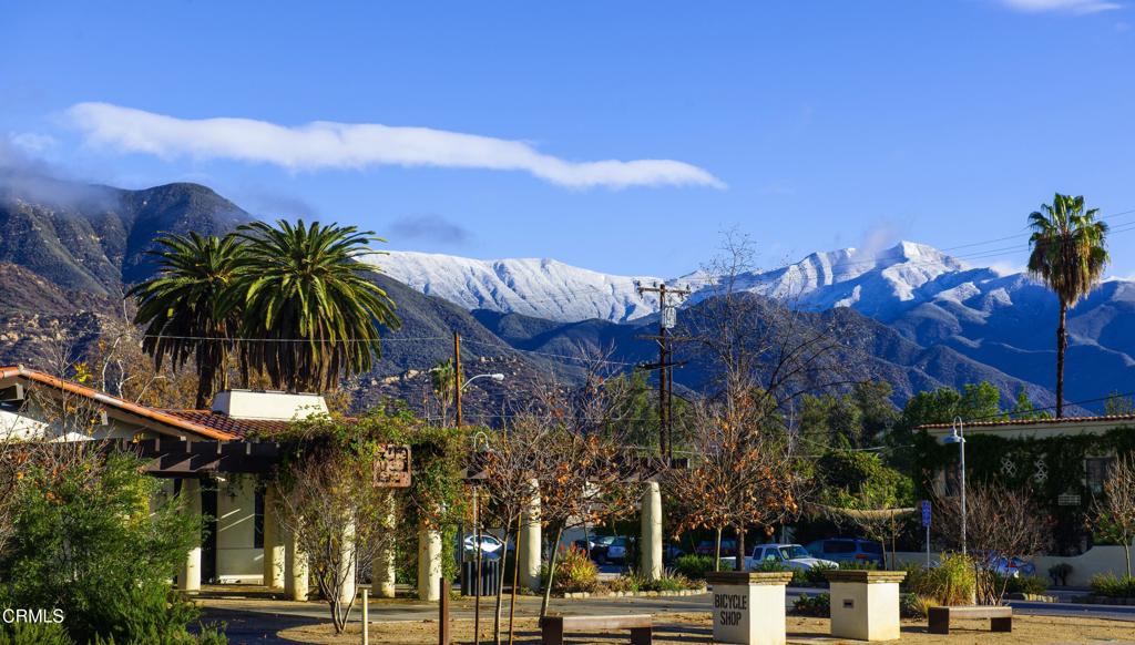 MLS #V1-31260 image #0