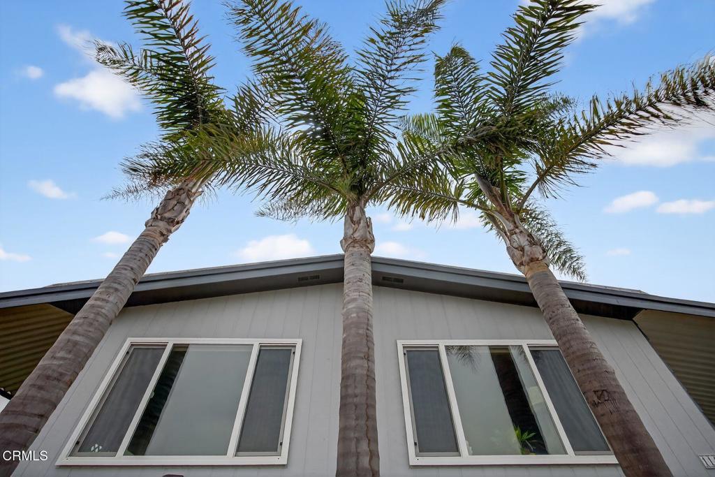 MLS #V1-31297 image #27