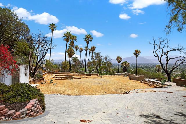 MLS #V1-31390 image #11