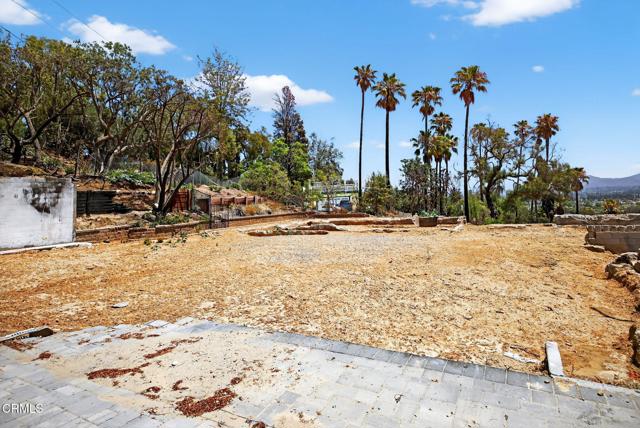 MLS #V1-31390 image #12