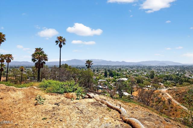 MLS #V1-31390 image #13