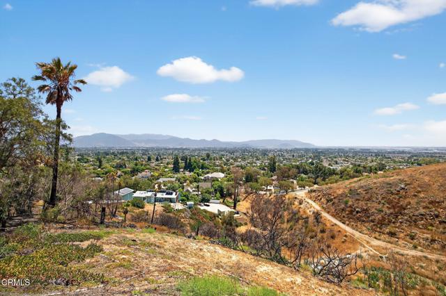 MLS #V1-31390 image #15