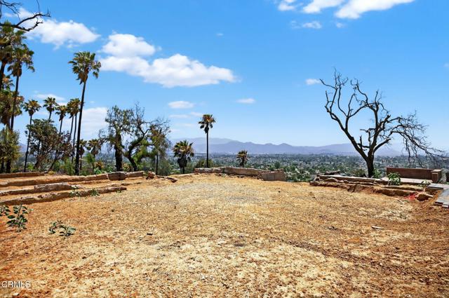 MLS #V1-31390 image #16