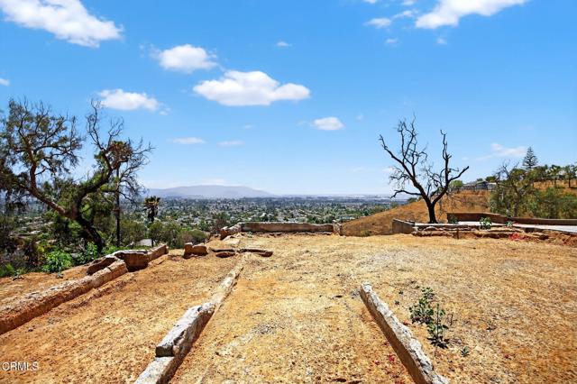 MLS #V1-31390 image #17