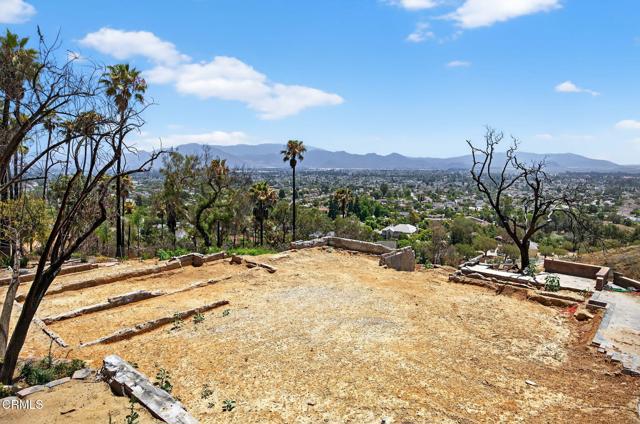 MLS #V1-31390 image #21