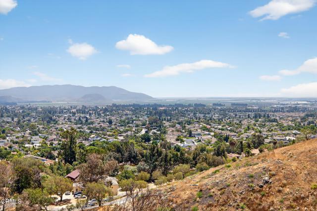 MLS #V1-31390 image #25