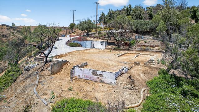 MLS #V1-31390 image #7