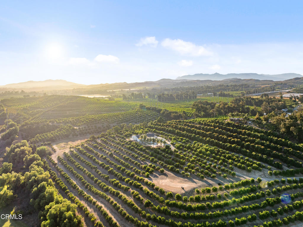 MLS #V1-31473 image #1