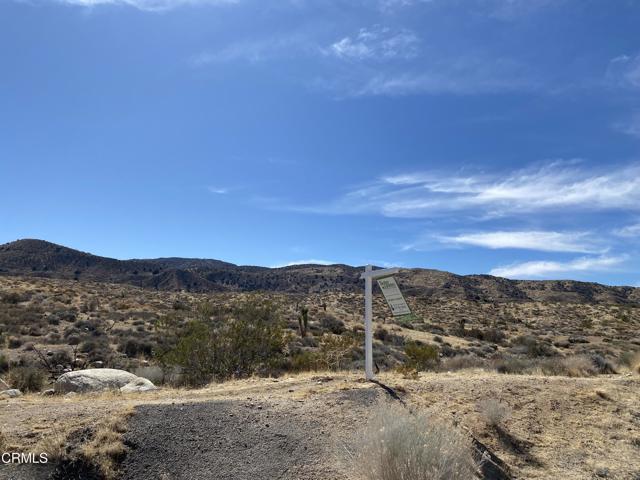 MLS #V1-31500 image #0