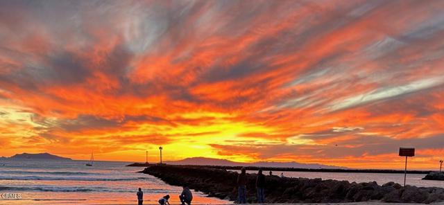 MLS #V1-31558 image #48