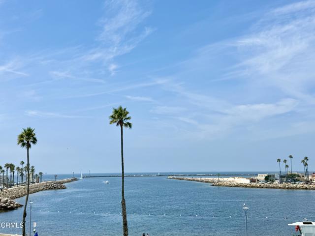 MLS #V1-31558 image #8