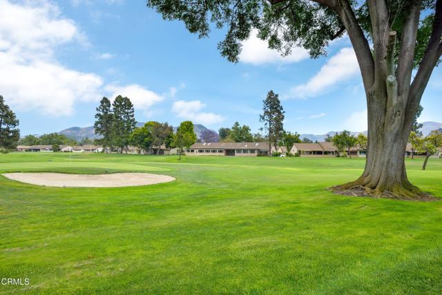 MLS #V1-31564 image #23