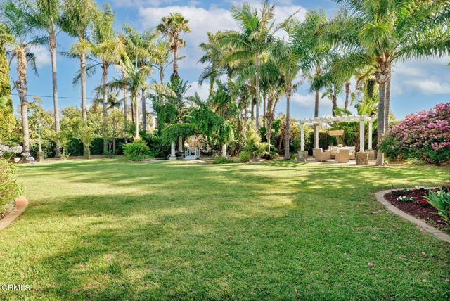 MLS #V1-31601 image #66